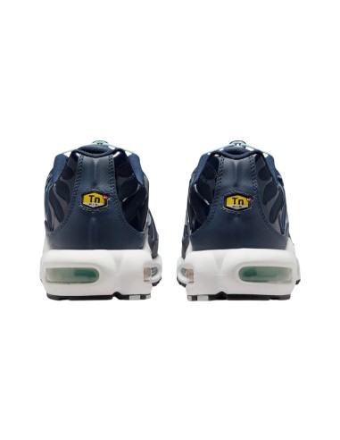 Nike air max plus TN